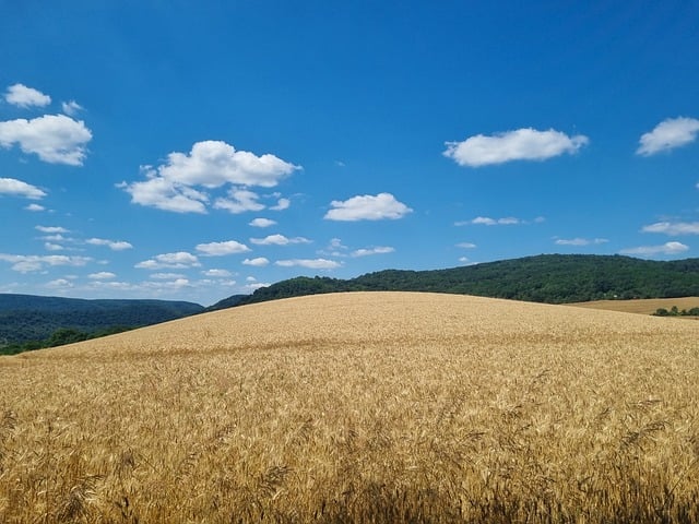 krásná krajina