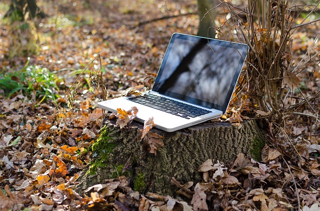 počítač v lese