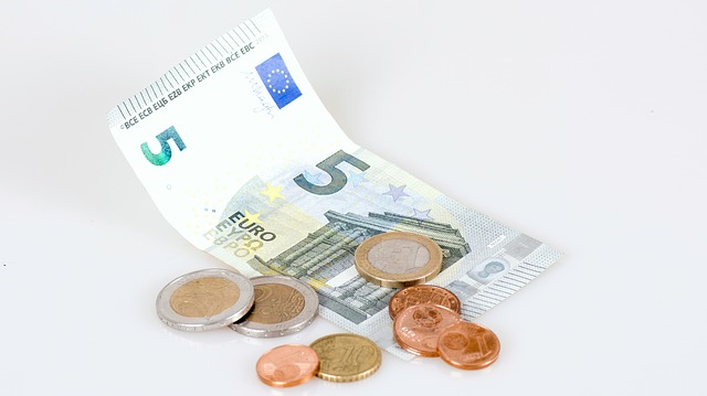 bankovka 5 euro a pár mincí.jpg